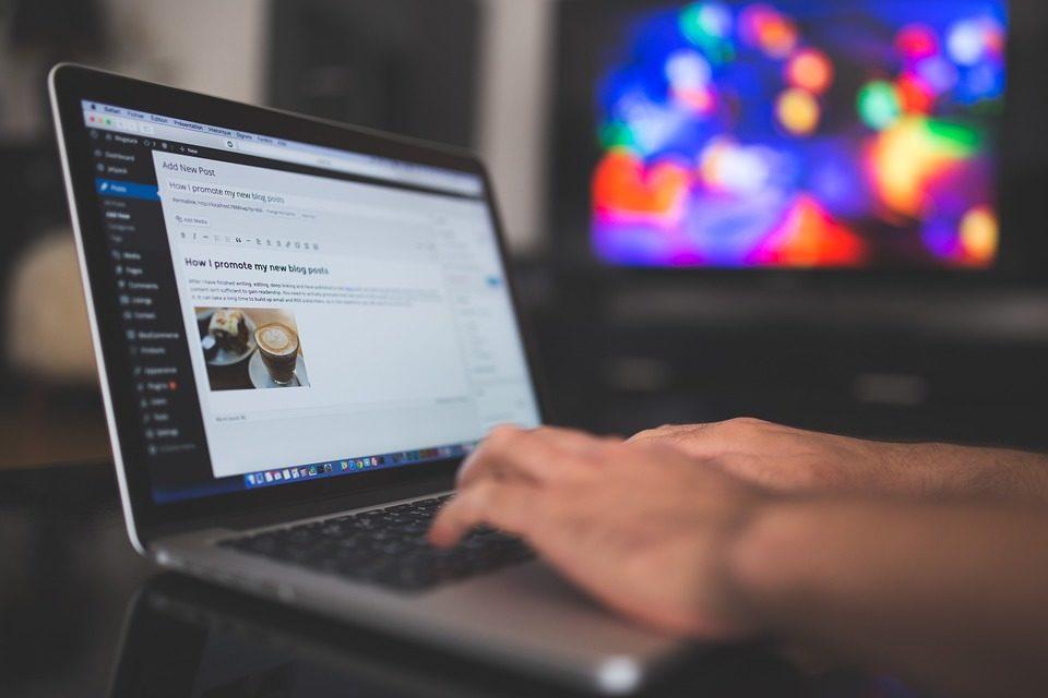 Person using a laptop to edit a WordPress business website