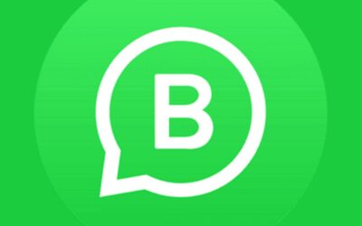 WhatsApp for Business Guide — Benefits, Setup & Features